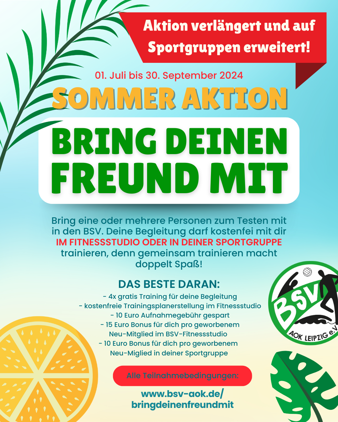 Sommer-Aktion 2024