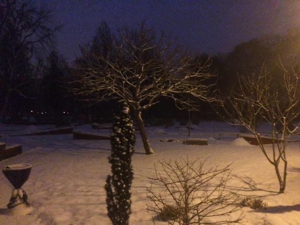 03365298 FCFA 4BA5 B44A 285914F6D774